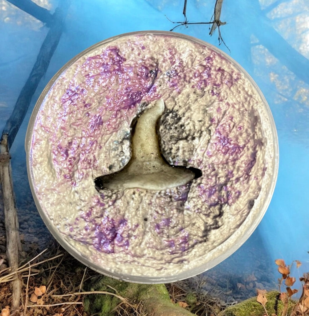 The Witching Hour whipped body scrub 💫