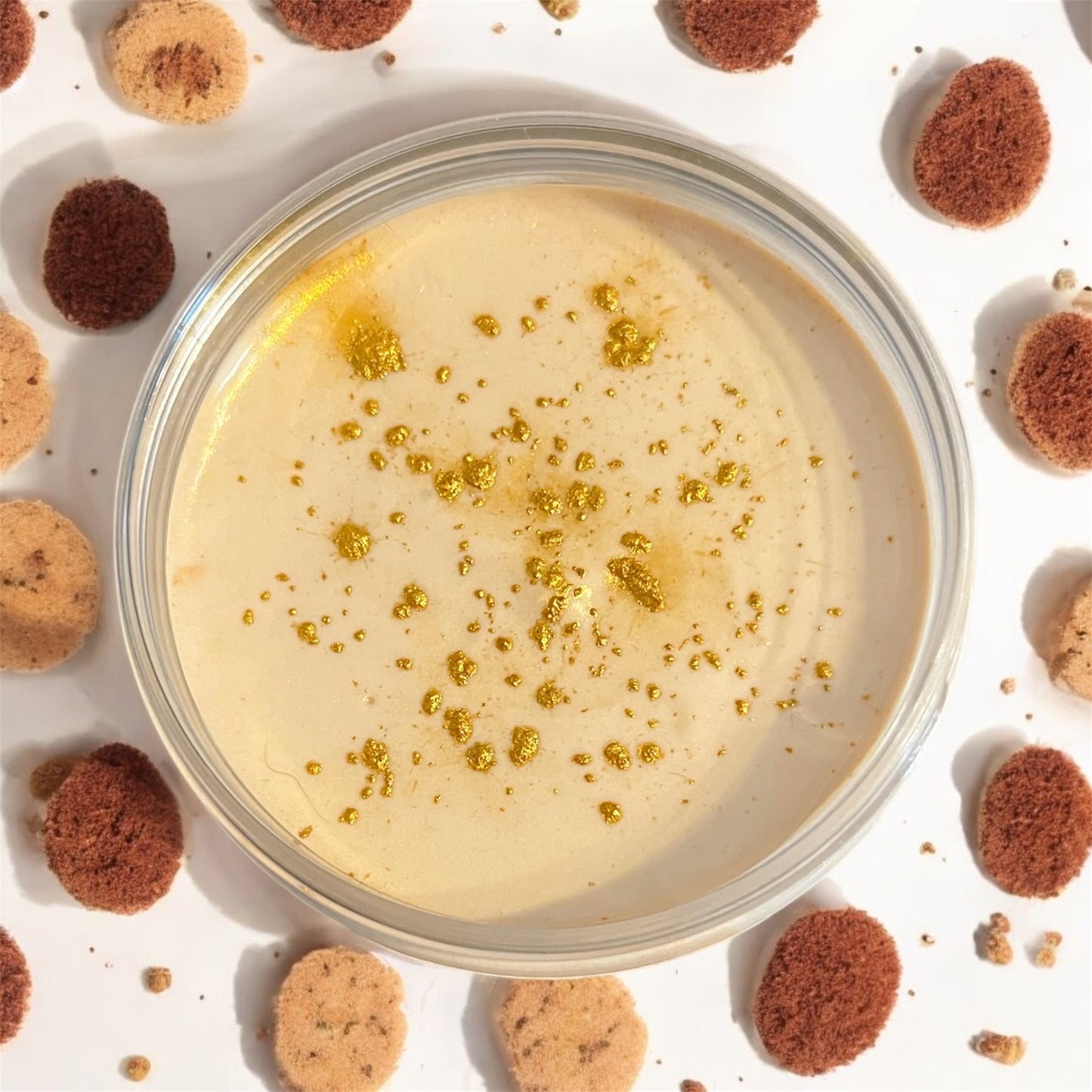 Yummy Biscuit Body butter 💫
