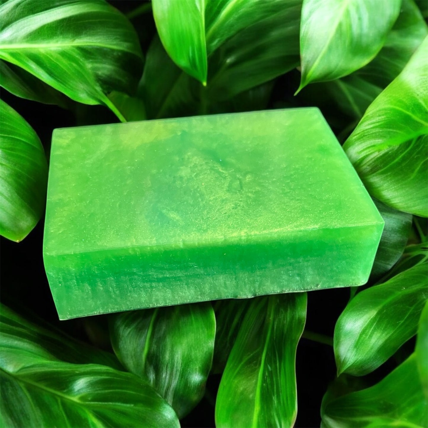 Avo Bubbles Soap Bar 💫